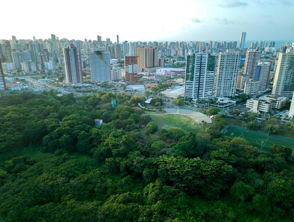 Les Danseurs Légendaires qui Ont Marqué l'Histoire